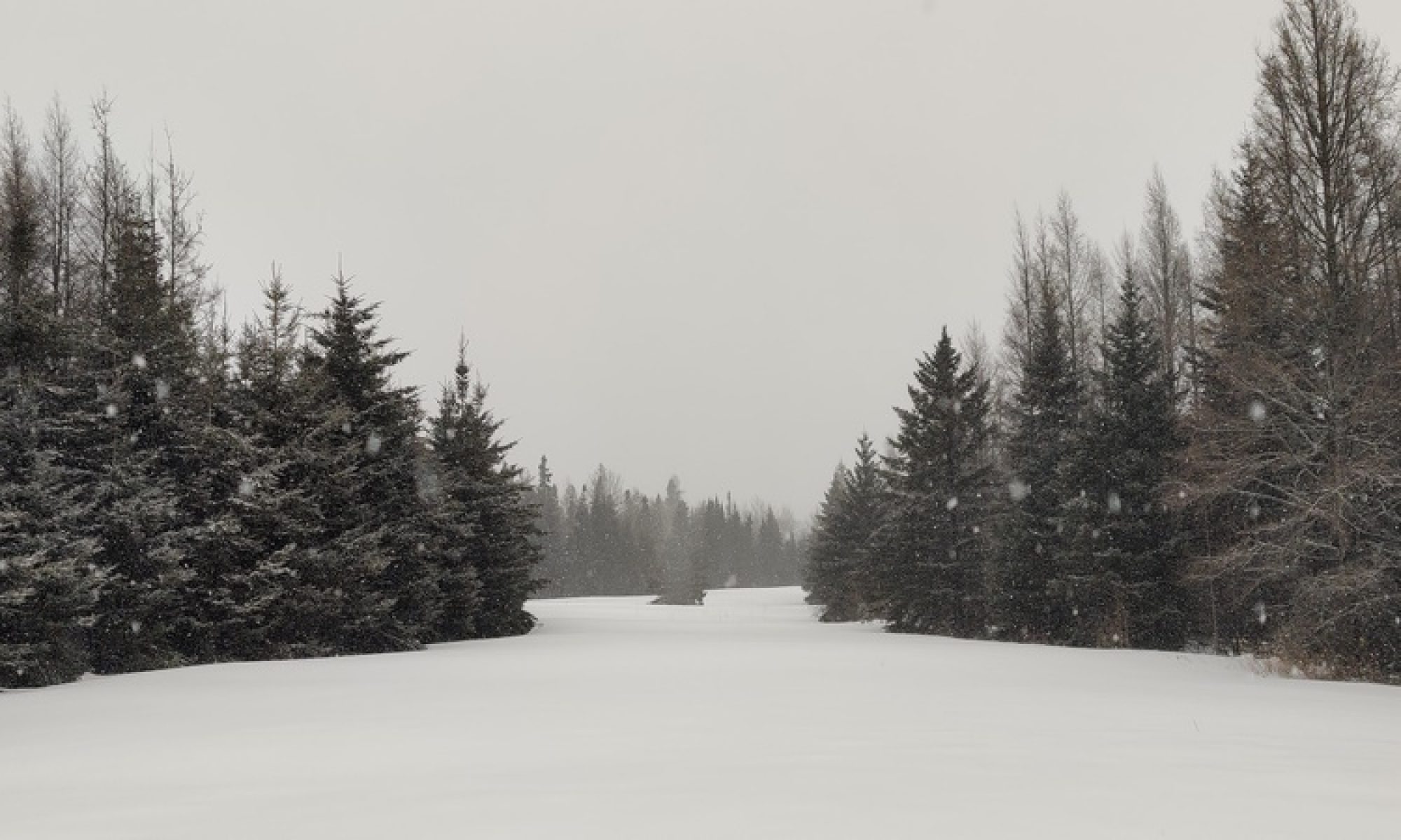 Way Beyond Our Back Yard